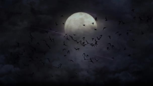 Mysterieuze aanwezigheid: lichte paden en vleermuizen onder de maan, donkere atmosfeer. — Stockvideo