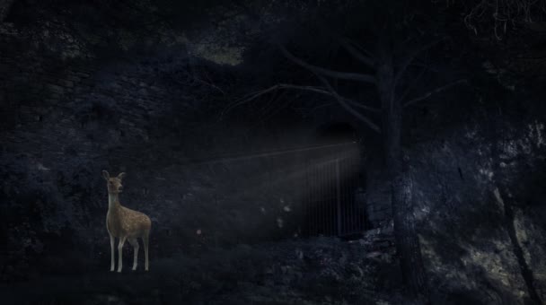 Sprookje in het bos, hertje bij magische poort. — Stockvideo
