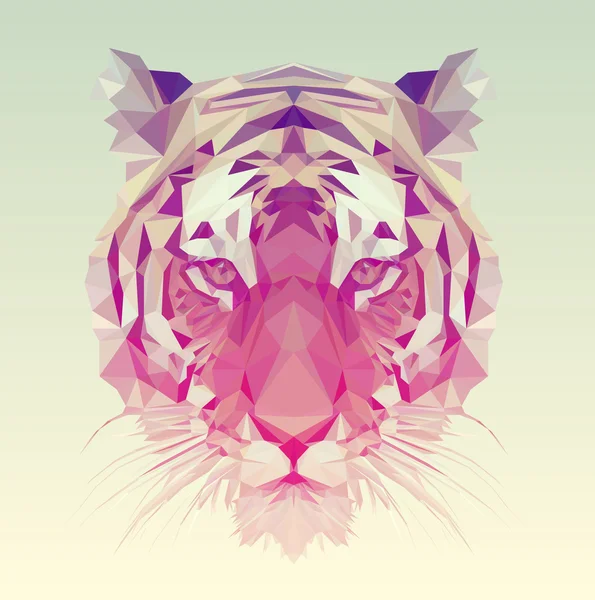 Low poly tiger illustration — Stock Vector