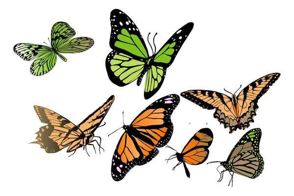 Set van verschillende vlinders — Stockvector