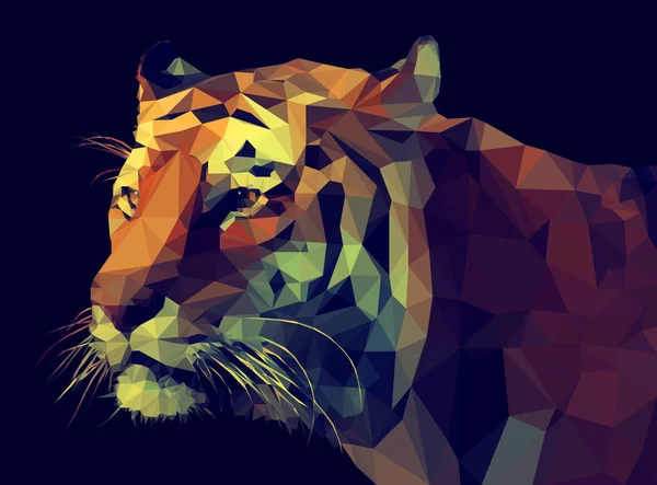 Tijger illustratie — Stockvector