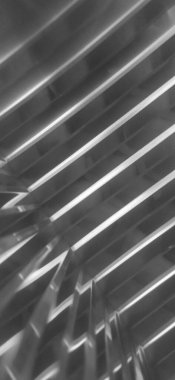 Mercekte ilginç güvercin