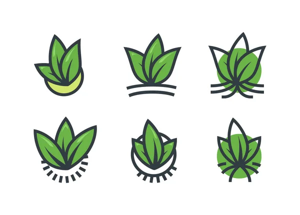 Grup Yaprağı Doğa Ekoloji Logo Simgesi Seti — Stok Vektör