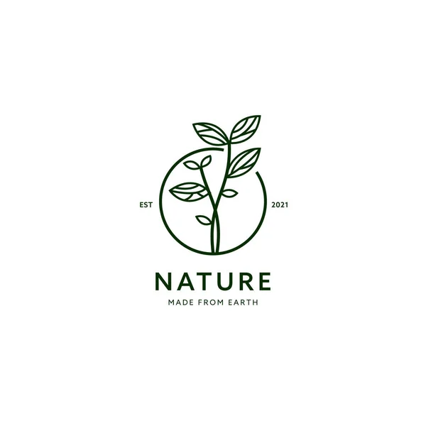 Crescita Della Natura Crescita Verde Pianta Logo Base Erbe Con — Vettoriale Stock