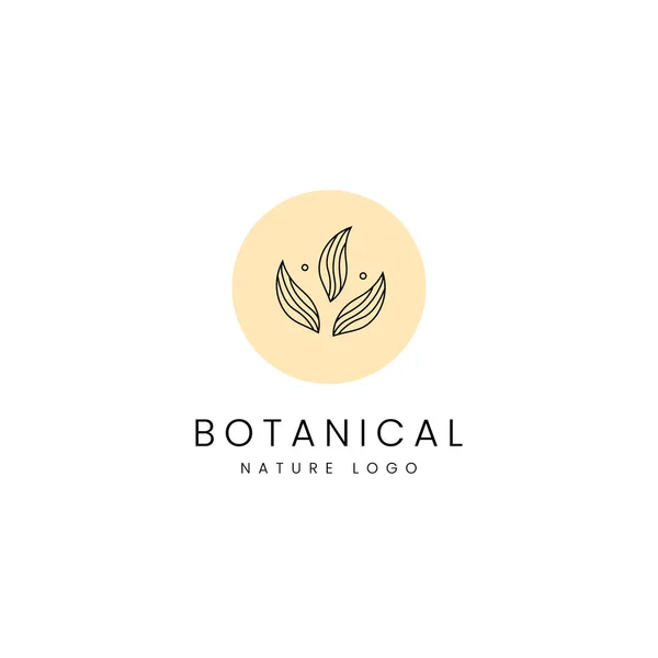 Bir Grup Ağaç Yaprağı Doğası Botanik Minimalist Çizgi Logosu — Stok Vektör