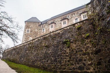 Ljubljanica Nehri'nin ve Ljubljana, Slovenya'nın görünümü. Ljubljana Castle