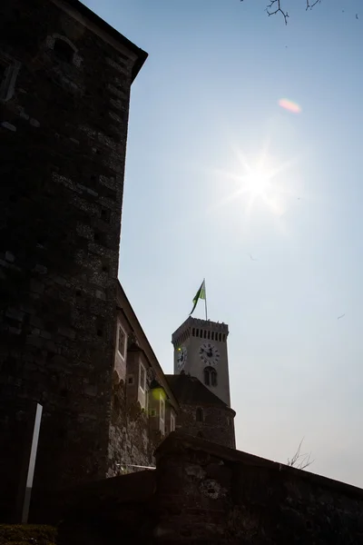 Utsikt över floden Ljubljanica och centrala delen av Ljubljana, Slovenien — Stockfoto