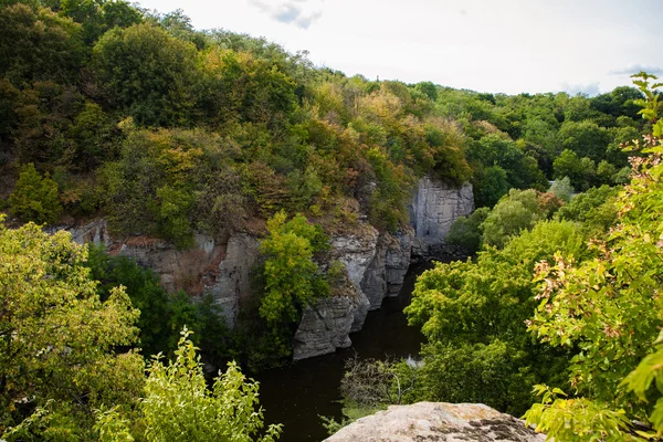 Frühlingsgrüne Schlucht Der Flussküste — Stockfoto