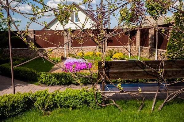 Grama verde, flores de jardim e videira no quintal — Fotografia de Stock