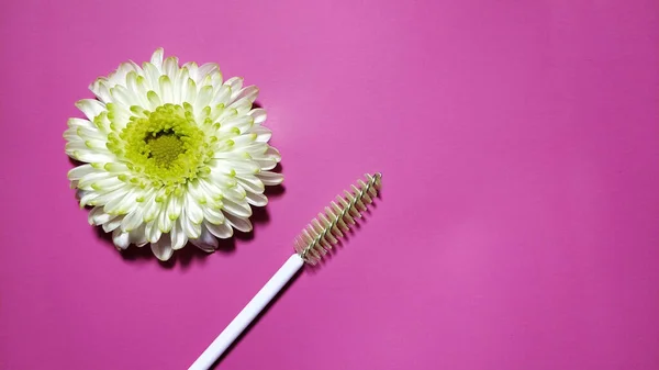 White flower with eyebrow eyelash brush on pink background. Banner, cover for beauty salons.