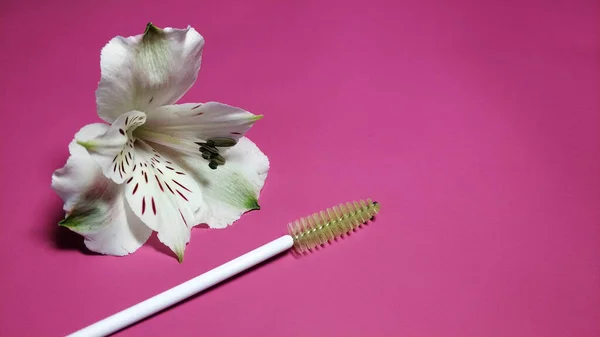 White flower with eyebrow eyelash brush on pink background. Banner, cover for beauty salons.