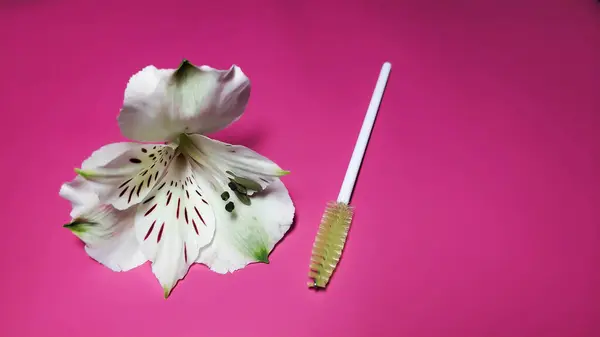 White alstroemeria flower with eyelash brushes on a pink background