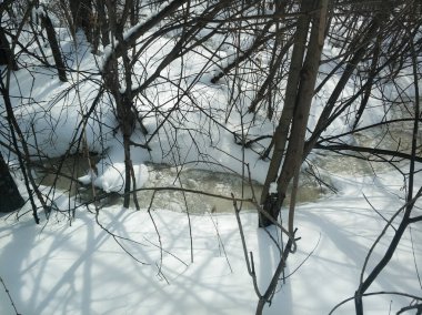 Rusya 'nın kış ormanlarında donmuş küçük bir nehir. Uralların doğası, Istok nehri. 2021.