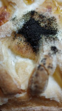 Fırın ürününde siyah küf var. Bayat ekmek. Aspergillus niger kalıbı yakın çekim makro