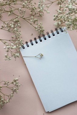 Notlar ve beyaz çiçekler için açık arkaplan, üst görünüm