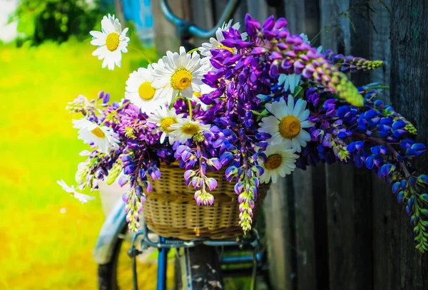 Bouquet Fleurs Sauvages Dans Panier Sur Vélo Été Nature Photo De Stock