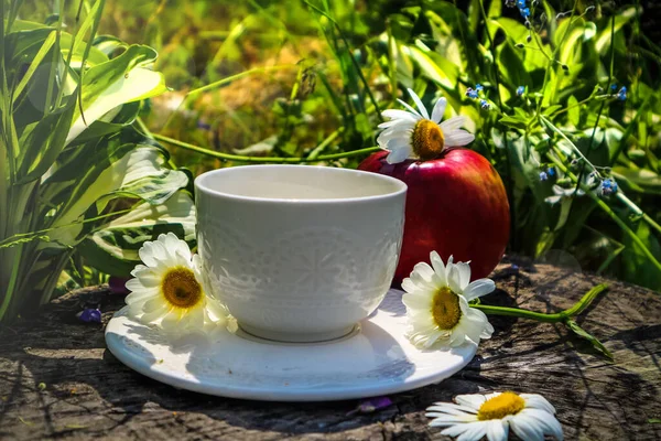 Wczesny Letni Poranek Przyrodzie Biały Kubek Herbaty Zielonej Trawie Owocach — Zdjęcie stockowe