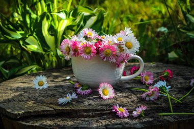 Yaz arkaplanı, beyaz bir fincanda bir buket çiçek ahşap bir arka planda, yeşil çimenler