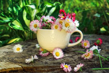 Yaz arkaplanı, beyaz bir fincanda bir buket çiçek ahşap bir arka planda, yeşil çimenler