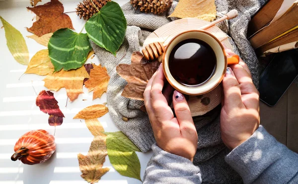 Höst Atmosfär Flicka Varm Tröja Dricker Varmt Kaffe — Stockfoto