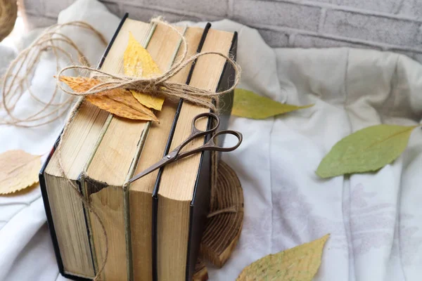 Old Vintage Books Autumn Leaves Light Background — Stock Photo, Image