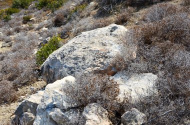 Kıbrıs 'ın doğasında büyük granit ve kumtaşı.