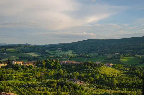 Působivá jarní krajina, pohled s cypřiši a vinicemi, Toskánsko, Itálie — Stock fotografie