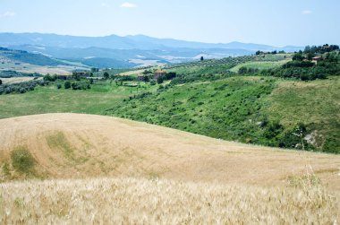 Toskana buğday tarlası ve güzel manzara. İtalya.
