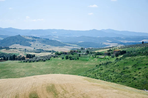 Tuscany wheat field and beautiful landscape. Italy. — Stock Photo, Image