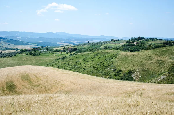 Toskana Weizenfeld und schöne Landschaft. Italien. — Stockfoto