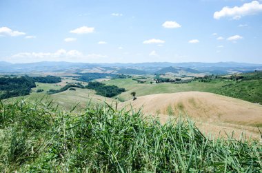 Toskana, uzun otlar, tarlalar ve güzel manzaralar.