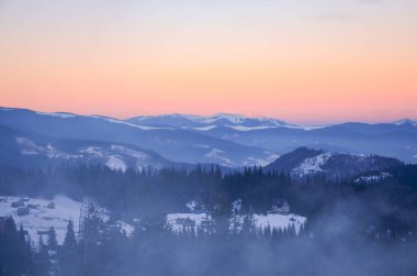 Karpatya kışı. Gün doğumunda dağlarda kar kozalaklı orman.