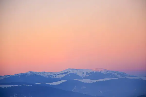 Inverno dos Cárpatos. Floresta de coníferas de neve em montanhas ao nascer do sol. — Fotografia de Stock