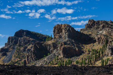 Tenerife volkanı Teide Ulusal Parkı. Pico del Teide.