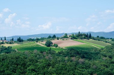 Etkileyici bahar manzarası, tarım alanları ve ağaçlarla manzara, Toskana, İtalya