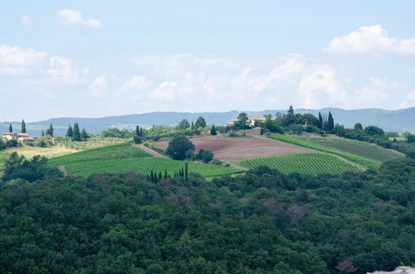 Etkileyici bahar manzarası, tarım alanları ve ağaçlarla manzara, Toskana, İtalya — Stok fotoğraf