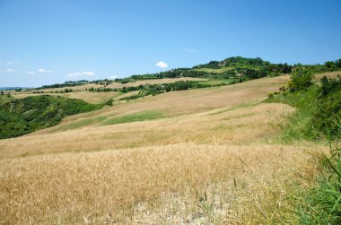 Kırsal alan. İtalya. Güzel, tipik yaz manzarası..