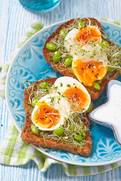 Avokado ve yumurta tost — Stok fotoğraf