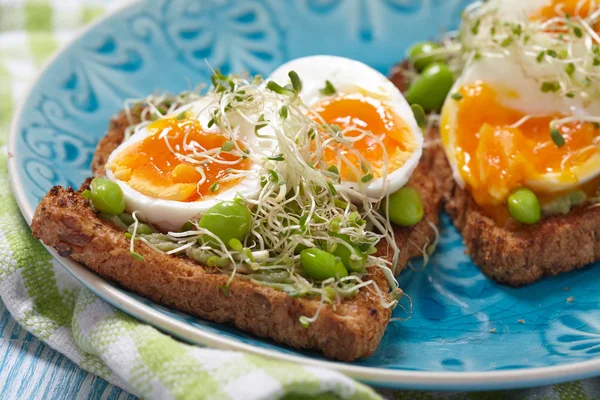Avocado e toast all'uovo — Foto Stock
