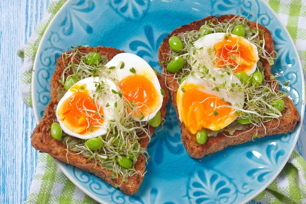 Avocat et toasts aux œufs — Photo