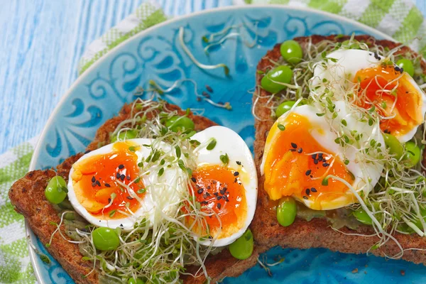 Avocat et toasts aux œufs — Photo