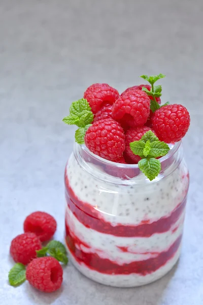 Chia semen pudink s ovocem — Stock fotografie