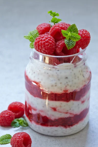 Chia seed pudding with berries — Stock Photo, Image