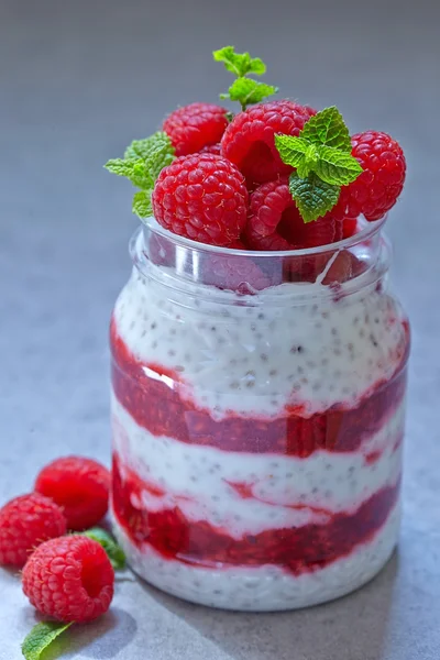 Chia seed pudding with berries — Stock Photo, Image