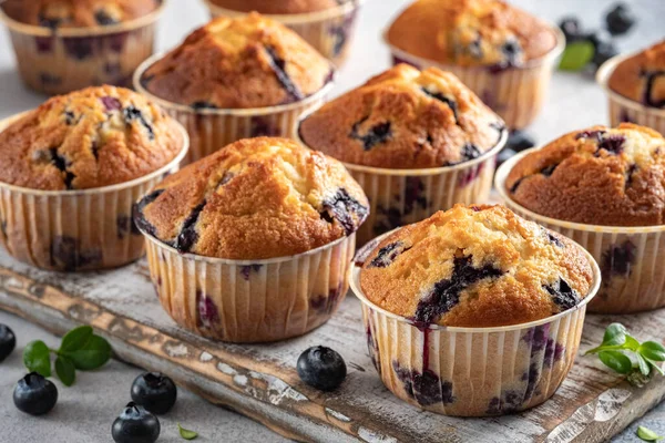 Muffin vegani fatti in casa ai mirtilli — Foto Stock