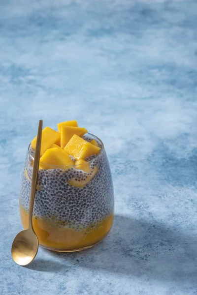 Coconut mango Chia seed pudding — Stock Photo, Image