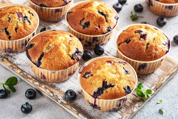 Muffin vegani fatti in casa ai mirtilli — Foto Stock