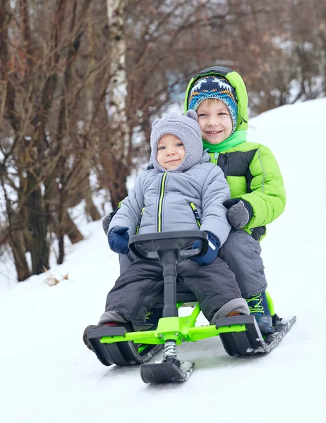 Cute brothers on sleigh — Stock Photo, Image