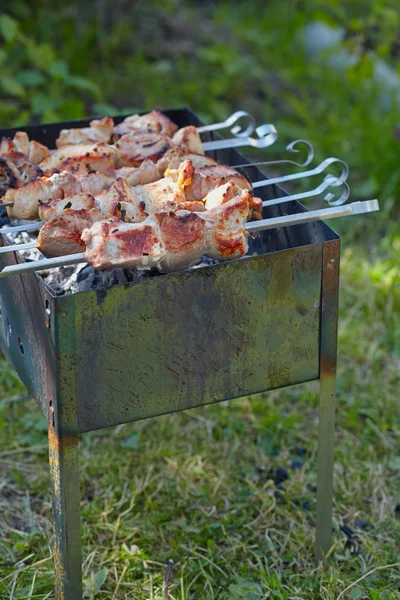 Meat roasted on skewers — Stock Photo, Image