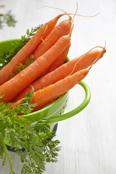 Frische Karotten — Stockfoto